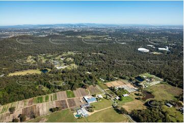 Aerial Photo Chandler QLD Aerial Photography