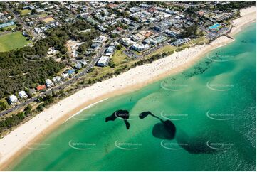 Bait Fish Ball at Byron Bay NSW Aerial Photography
