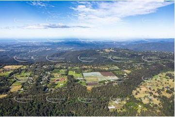 Aerial Photo Tamborine Mountain QLD Aerial Photography
