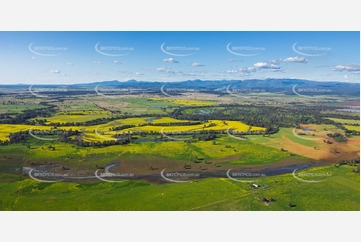 Canola Fields at Turrawan NSW Aerial Photography