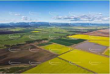 Canola Fields at Tarriaro NSW Aerial Photography