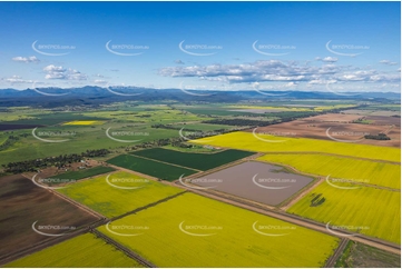 Canola Fields at Tarriaro NSW Aerial Photography