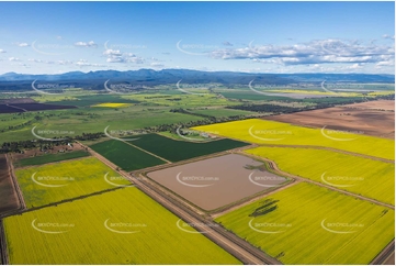 Canola Fields at Tarriaro NSW Aerial Photography
