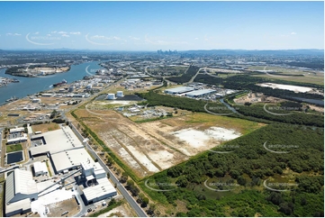 Aerial Photo Pinkenba QLD Aerial Photography