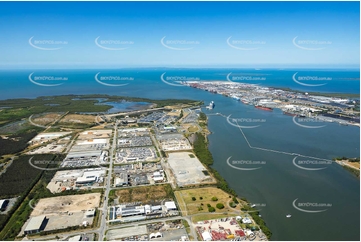 Aerial Photo Pinkenba QLD Aerial Photography