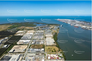 Aerial Photo Pinkenba QLD Aerial Photography