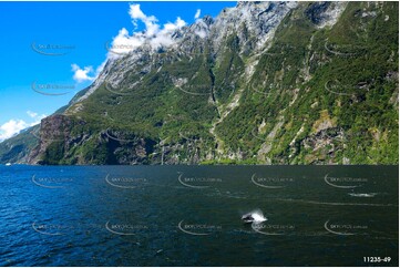 On the Road to Milford Sound Aerial Photography