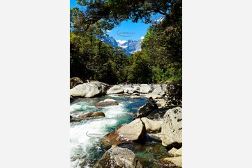 On the Road to Milford Sound Aerial Photography