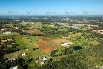 Aerial Photo Rochedale QLD Aerial Photography