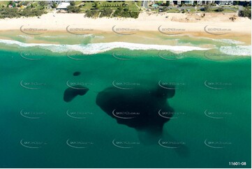 Aerial Photo Broadbeach QLD Aerial Photography