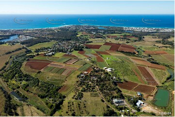 Cudgen NSW NSW Aerial Photography