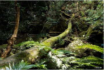 Small Waterfall - Lamington National Park QLD Aerial Photography