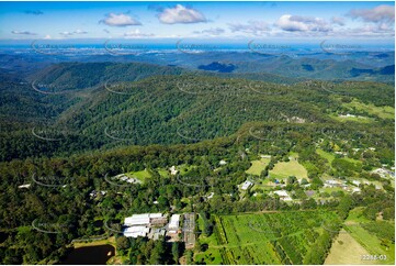 Springbrook QLD QLD Aerial Photography