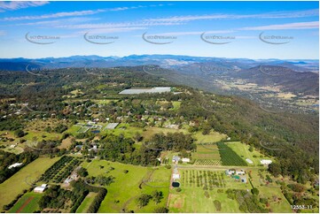 Aerial Photo Tamborine Mountain QLD 4272 QLD Aerial Photography