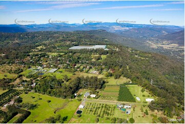 Aerial Photo Tamborine Mountain QLD 4272 QLD Aerial Photography