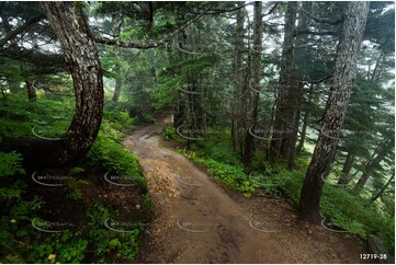 Mountain Trail Aerial Photography