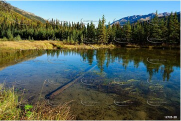 Beaver Dam Aerial Photography