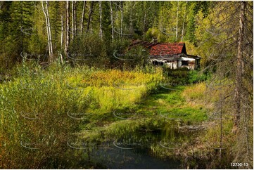 Cabin in the Woods - Radium Hot Springs BC Aerial Photography