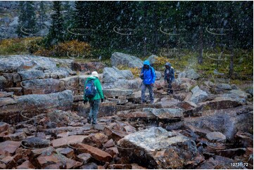 The Beehive Walking Trail Aerial Photography