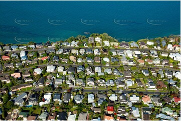 Aerial Photo Narrow Neck Auckland NZ Aerial Photography