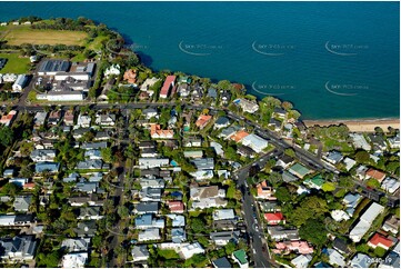 Aerial Photo Narrow Neck Auckland NZ Aerial Photography