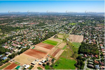 Runcorn QLD 4113 QLD Aerial Photography