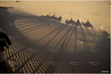 Camel Shadows Aerial Photography