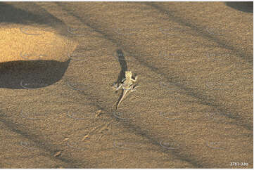 Mr Lizard Aerial Photography