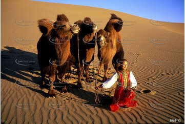 Mongolian girl in traditional dress with her camels Aerial Photography