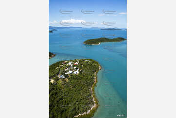 Aerial Photo Shute Harbour QLD Aerial Photography