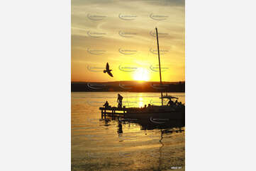 Sunset With Seagull Aerial Photography