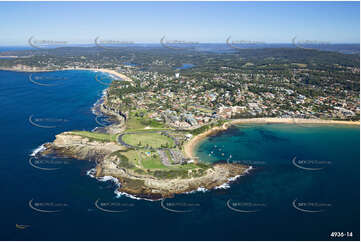 Aerial Photo Terrigal NSW Aerial Photography