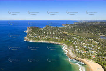 Aerial Photo Whale Beach Aerial Photography