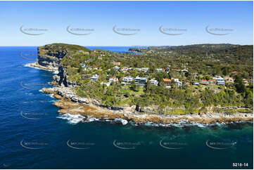 Aerial Photo Whale Beach Aerial Photography