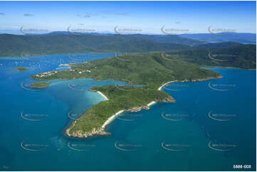 Aerial Photo Shute Harbour QLD Aerial Photography