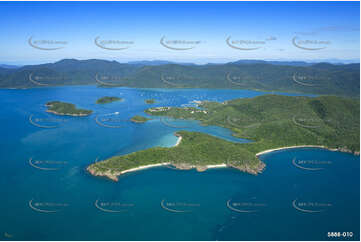 Aerial Photo Shute Harbour QLD Aerial Photography