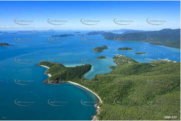 Aerial Photo Shute Harbour QLD Aerial Photography