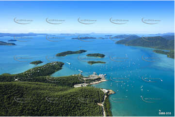 Aerial Photo Shute Harbour QLD Aerial Photography