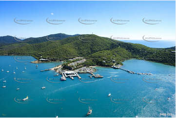 Aerial Photo Shute Harbour QLD Aerial Photography