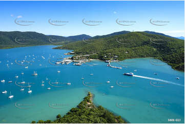 Aerial Photo Shute Harbour QLD Aerial Photography