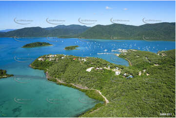 Aerial Photo Shute Harbour QLD Aerial Photography