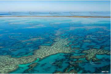 Coral on Hook Reef Aerial Photography