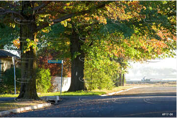 Autumn Leaves Murray St Aerial Photography