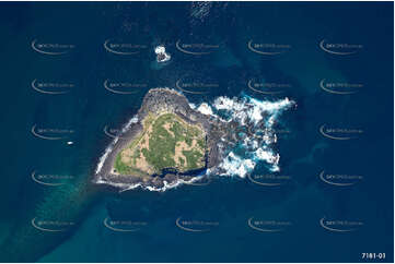 Vertical Aerial Photo of Cook Island NSW Aerial Photography
