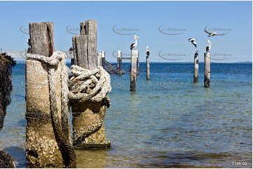 Man Fishing QLD Aerial Photography