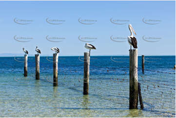 Man Fishing QLD Aerial Photography