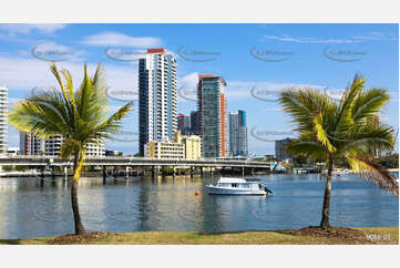 Southport CBD framed by Palm Trees QLD Aerial Photography
