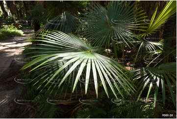 Fern Leaf Couran Point QLD Aerial Photography