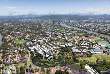 Aerial Photo The University of Queensland St Lucia QLD Aerial Photography