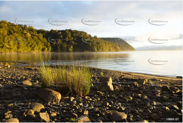 Brod Bay - Lake Te Anua Aerial Photography